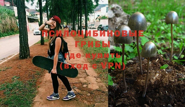 мяу мяу мука Володарск