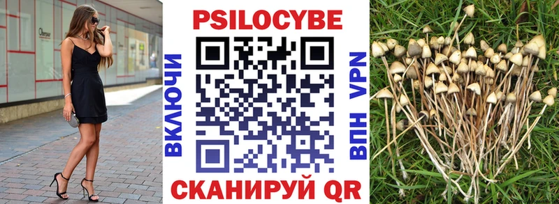 Галлюциногенные грибы мицелий  hydra   Нижнекамск 