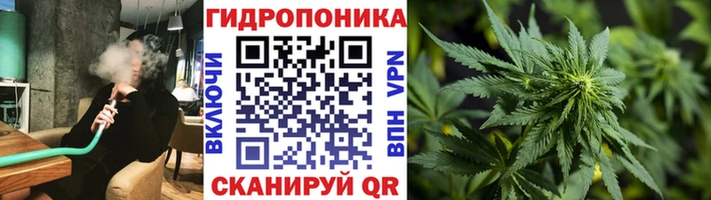 купить закладку  Нижнекамск  Бошки марихуана конопля 